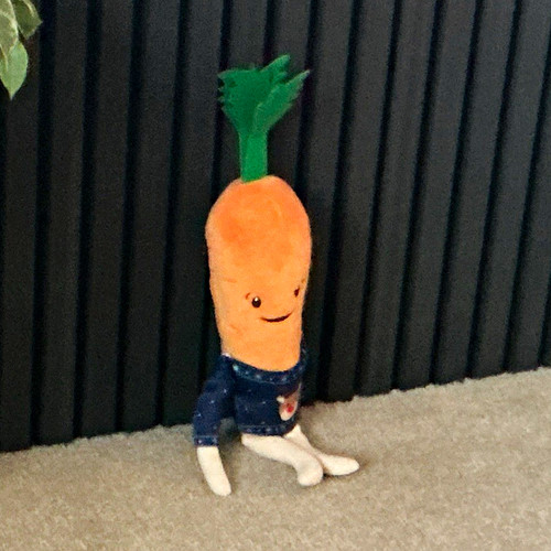 Kevin the carrot - carrot, toy